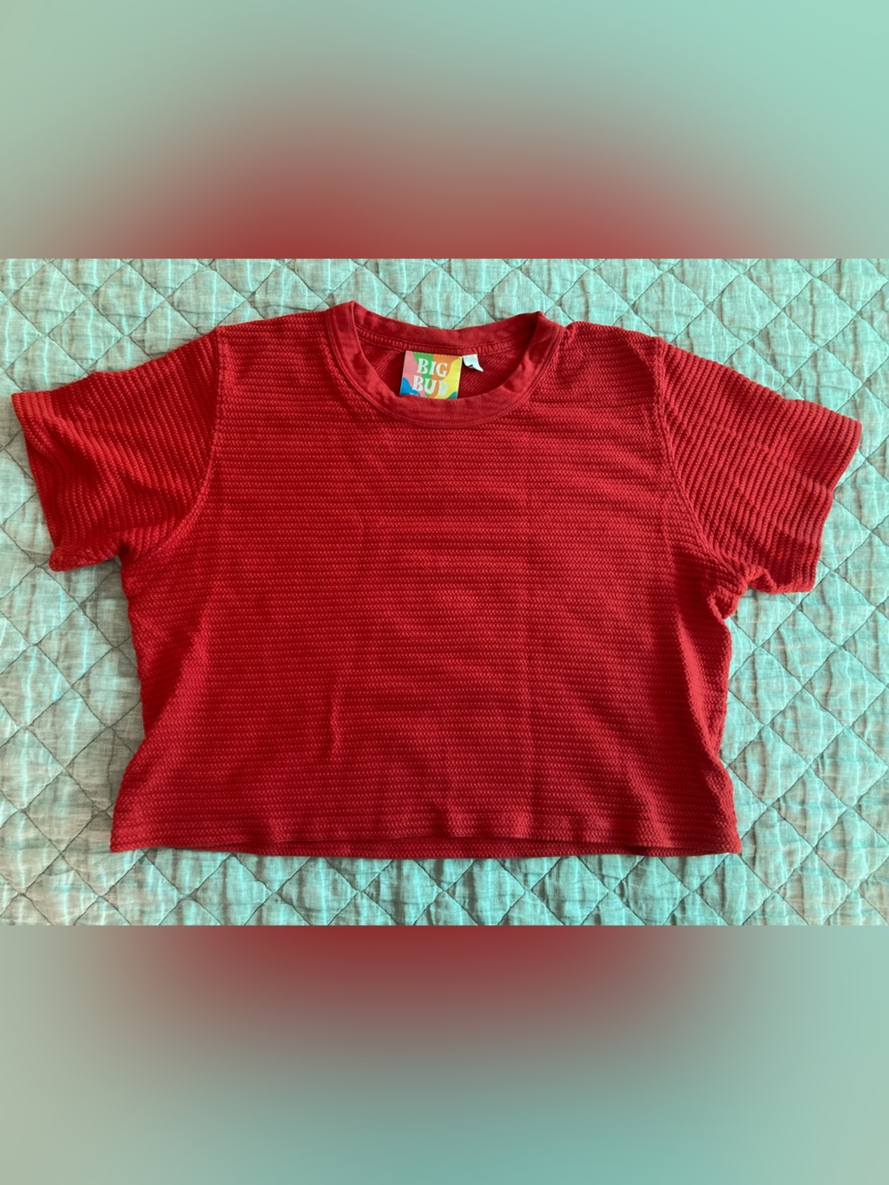 Big bud press honeycomb cropped top unisex small